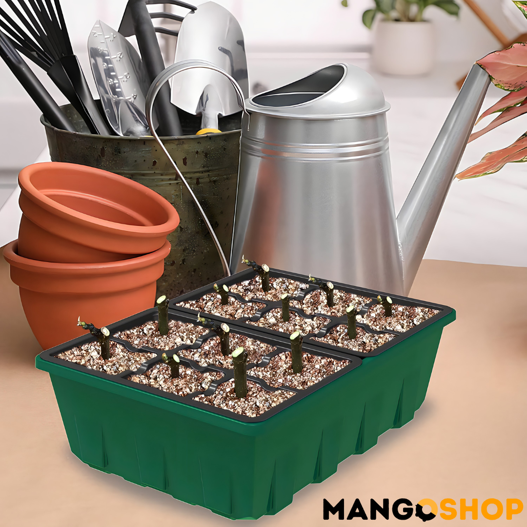 Set za rasad i klijanje biljaka sa podesivom ventilacijom – rs-mangoshop.com
