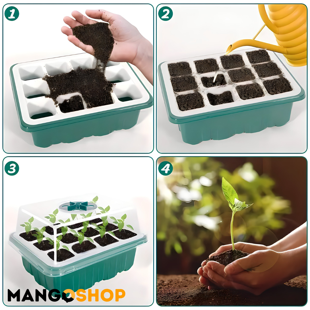 Set za rasad i klijanje biljaka sa podesivom ventilacijom – rs-mangoshop.com