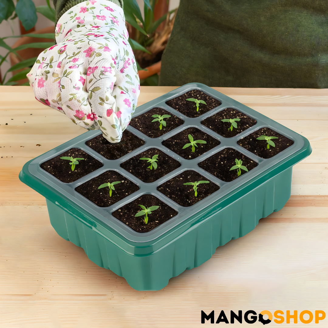 Set za rasad i klijanje biljaka sa podesivom ventilacijom – rs-mangoshop.com