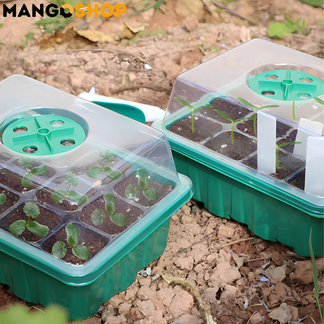 Set za rasad i klijanje biljaka sa podesivom ventilacijom – rs-mangoshop.com