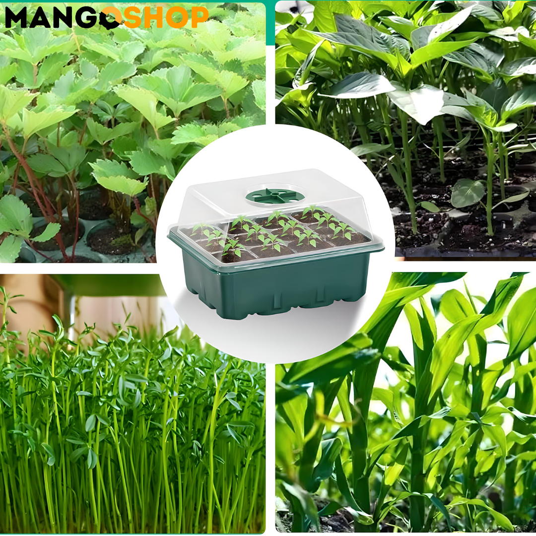 Set za rasad i klijanje biljaka sa podesivom ventilacijom – rs-mangoshop.com