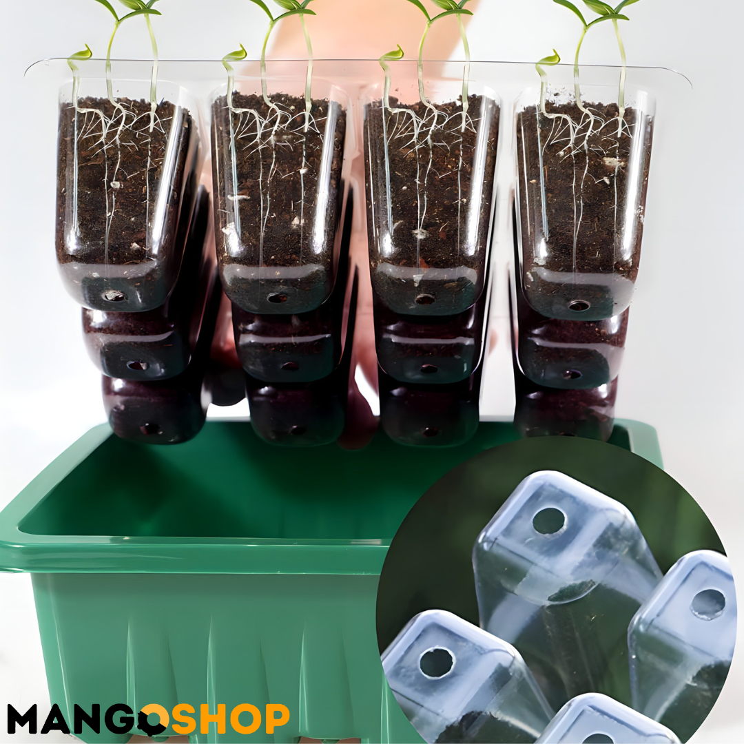 Set za rasad i klijanje biljaka sa podesivom ventilacijom – rs-mangoshop.com