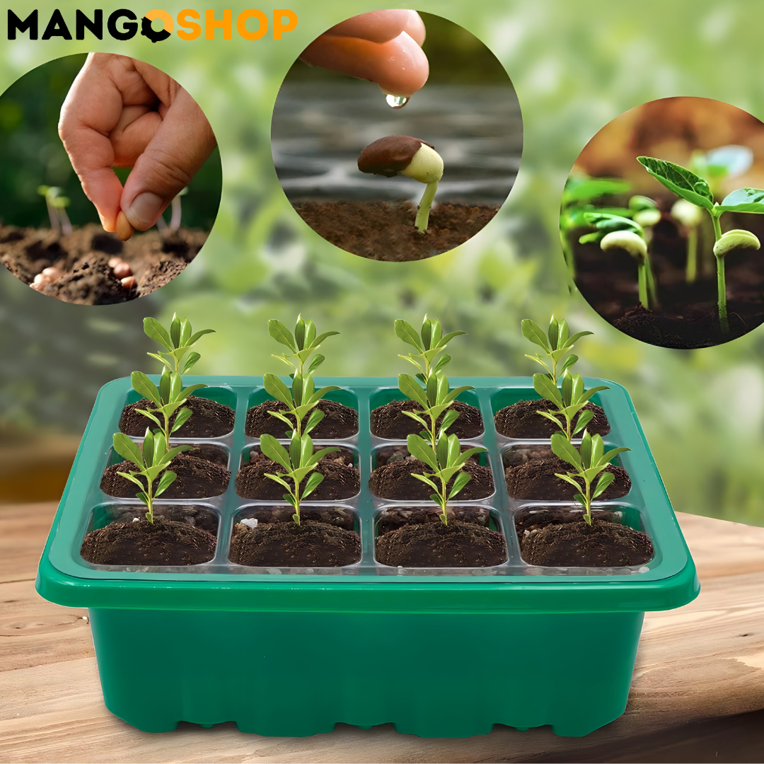 Set za rasad i klijanje biljaka sa podesivom ventilacijom – rs-mangoshop.com
