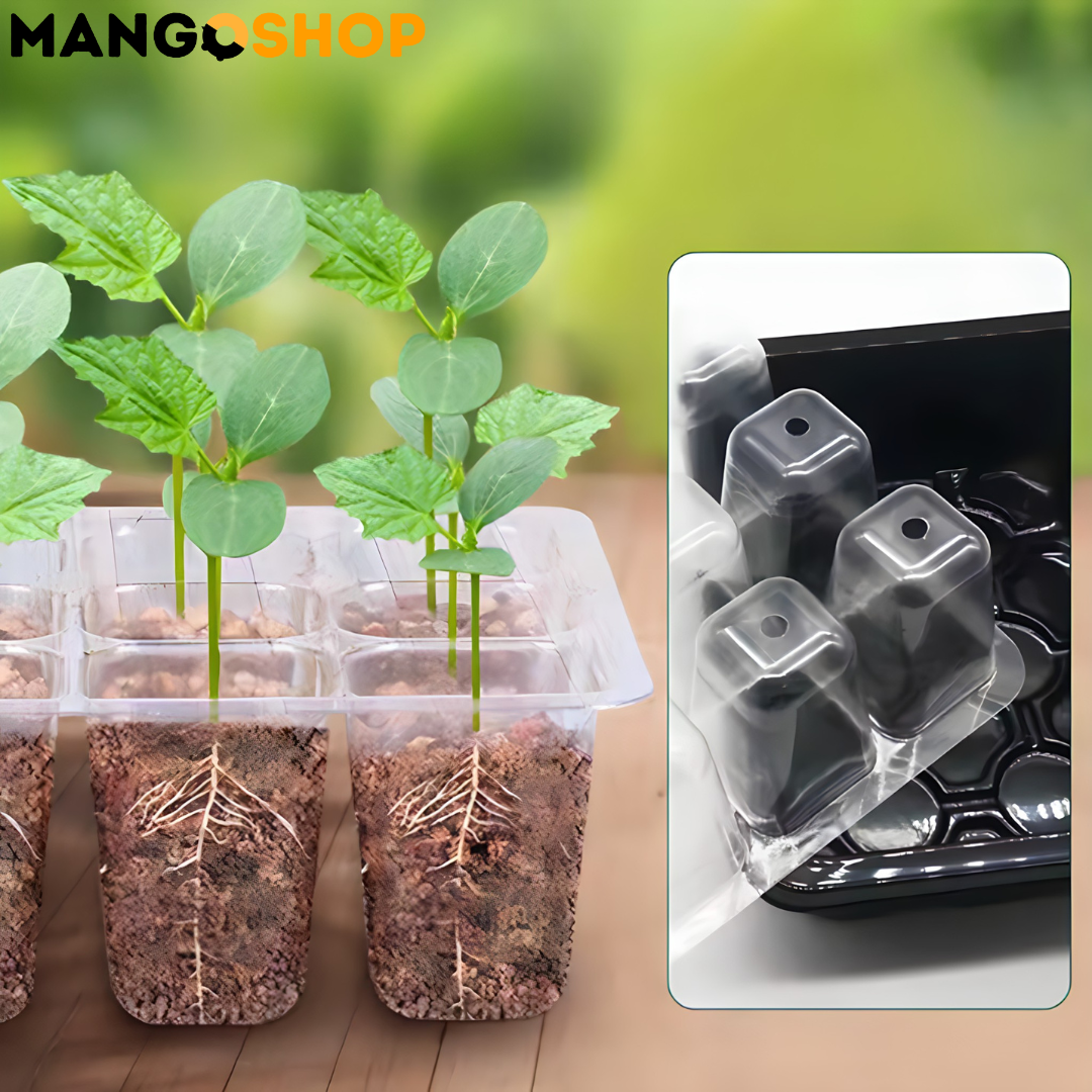 Set za rasad i klijanje biljaka sa podesivom ventilacijom – rs-mangoshop.com