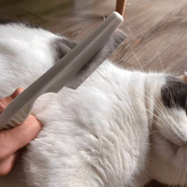 Češalj za kućne ljubimce | GROOMIE
