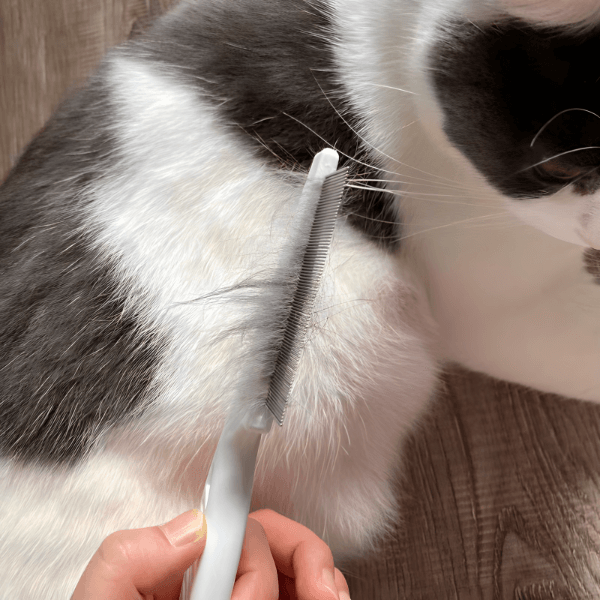 Češalj za kućne ljubimce | GROOMIE